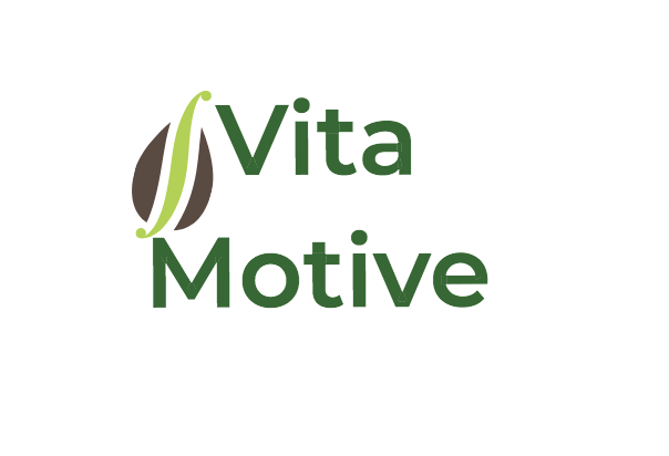 Vita Motive